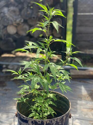 WhatsApp Image 2024-02-26 at 17.42.06